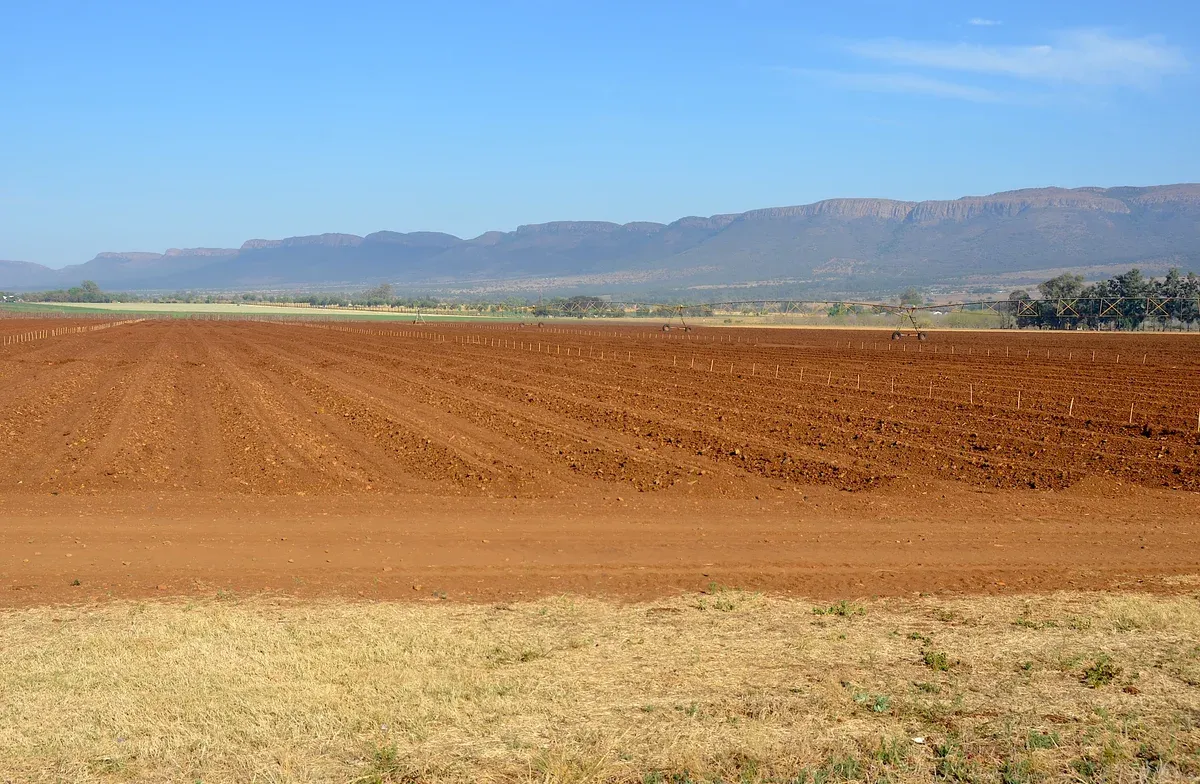 The Magaliesberg mountain range west of Hartbeespoort in early light