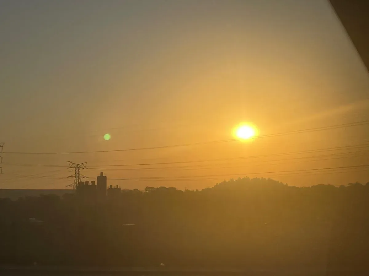 Sunset over Vilakazi Street in Soweto, the trees and houses of the famous street in warm light